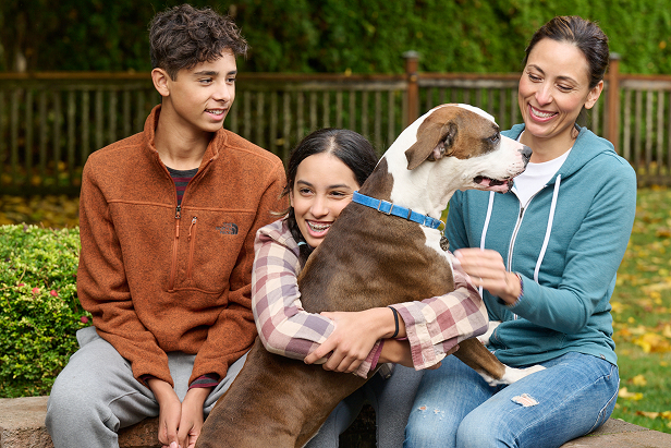 a group of people sitting on a bench with a dog