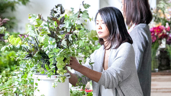 Woman arranging plants