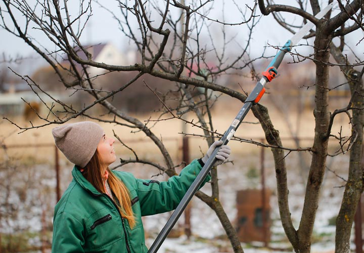 Individual in green jacket and tan beanie with grey gloves uses a sharp tool to trim the trees around their home.
