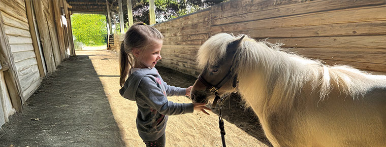A young girl pets a pony's nose in an outdoor wooden stable.