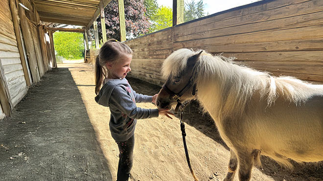 A young girl pets a pony's nose in an outdoor wooden stable.