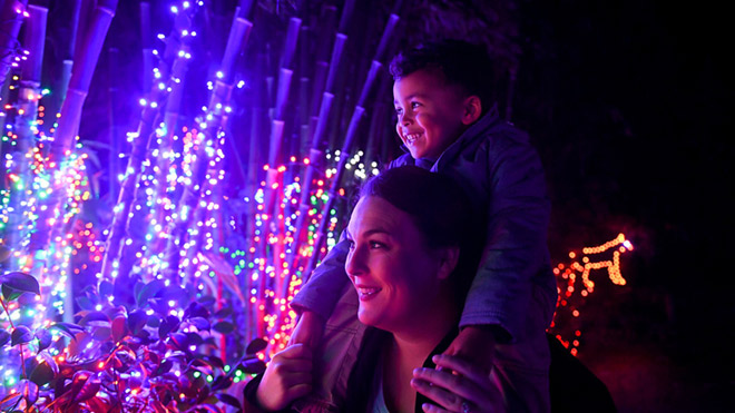 A woman and child looking at the Zoolights display.
