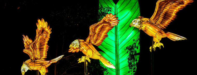 3 lanterns shaped like birds flying.