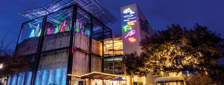 South Carolina Aquarium Aglow.