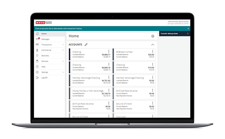 Business Online Banking Account Screen