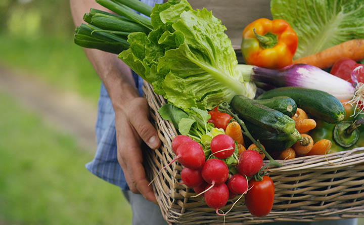 A person carries a basket loaded with fresh vegetables outside.