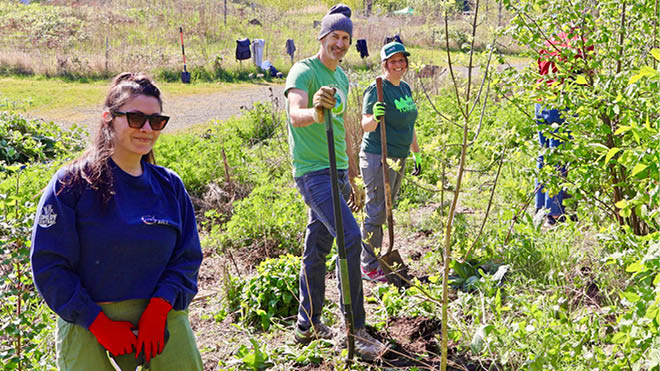 Three BECU employees engage in environmental work. They each have shovels and are wearing gloves.