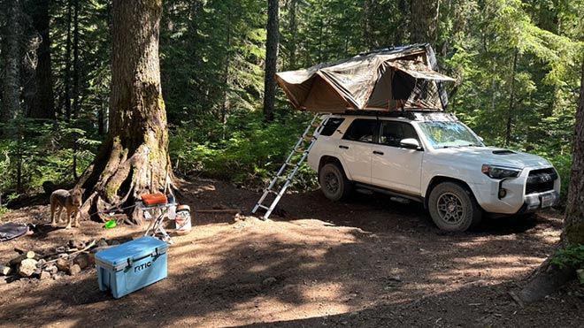A white SUV parked in the woods with a tent set up on its roof, surrounded by tall trees and greenery. On the site is a blue cooler, a dog and other camping accessories. 