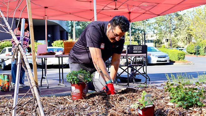 A kneeling man digs in the dirt in preparation for planting a small plant that is next to him in a pot on the ground.