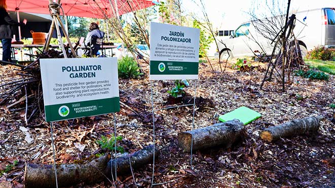 Two signs stand together on wire stands surrounded by soil and logs. Green text on white background says "Pollinator Garden" on the left sign and "Jardin Polonizador" on the right sign. Text below the title describes the pollinator garden. A dark green stripe with white text shows the BECU logo and Environmental Sustainability. The employee resource group's logo is on the lower left. 