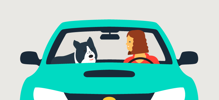 Car Buying